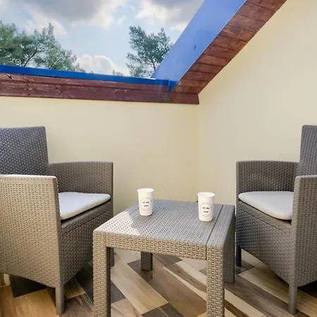 Blue Mare, Sun & Snow *